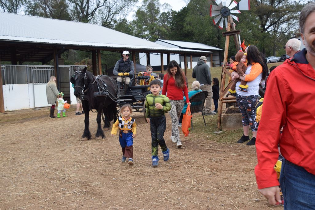 mimosa farm 10-2019 102 (1024x683).jpg